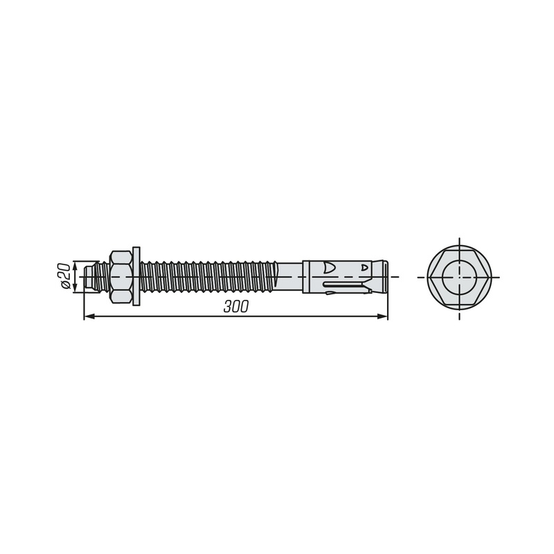 Анкер клиновой SWFS М20х300 (10 шт)