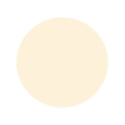 Шпаклёвка по дереву Текс Биотекс берёза (0,25 кг)