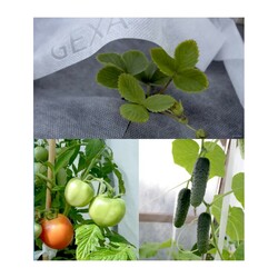 Агроволокно Агротекс 60 UV, белый (3,2х10 м)