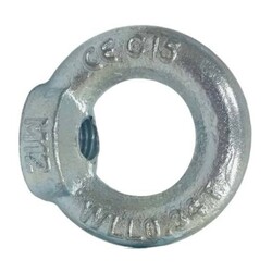 Рым-гайка SWFS DIN582 М12 (1 шт) пакетик